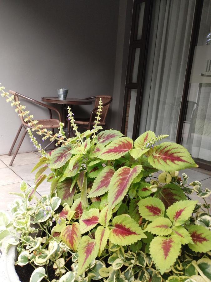 Ditsaleng Bed&Breakfast Vanderbijlpark Bagian luar foto